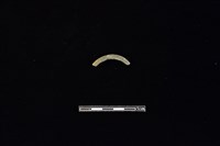 陶環藏品圖，第1張